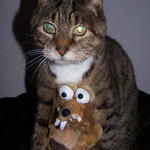 About Pet Food Reviews (Australia) 1 Rodney
