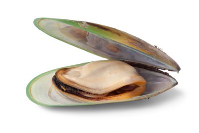 Green Lipped Mussels for Dogs & Cats 1 Green Lipped Muissels in Dog Food