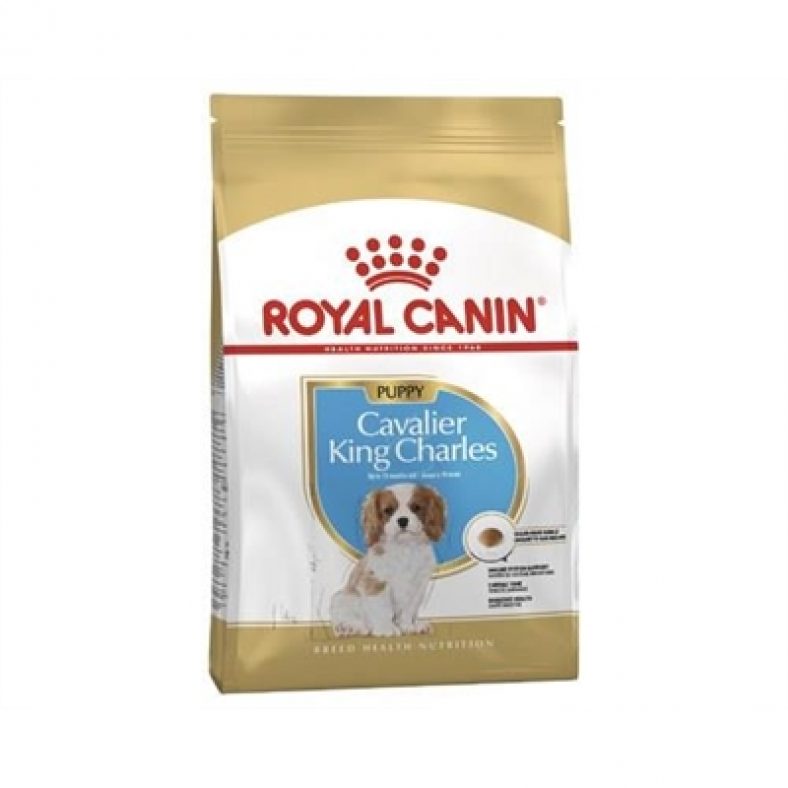 Royal Canin Cavalier King Charles Breed Junior Puppy Dry