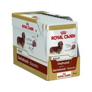canin