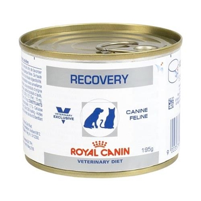 recovery veterinary diet