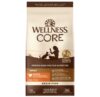 Wellness CORE cat food review