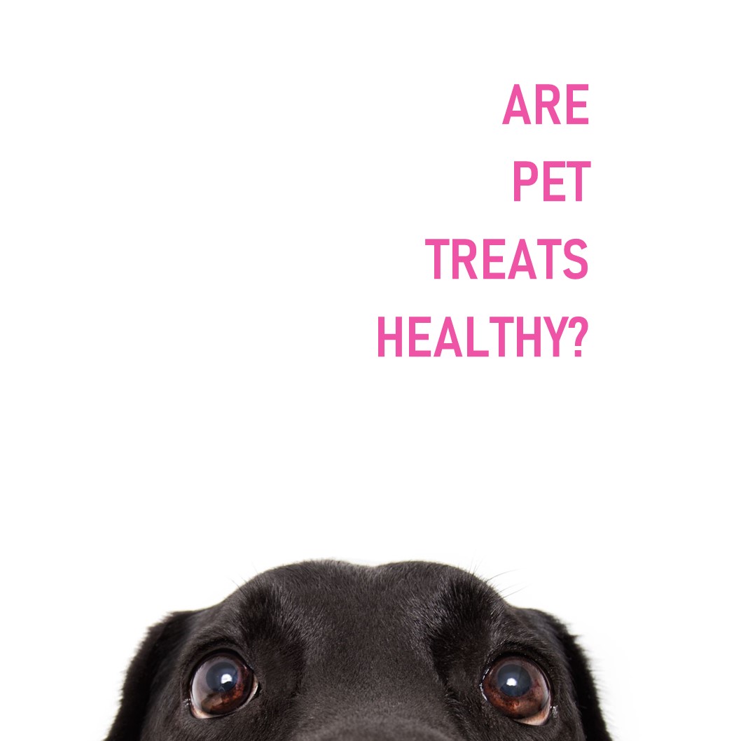 Are pet treats healthy