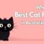 What's the Best Cat Food in Australia 2024