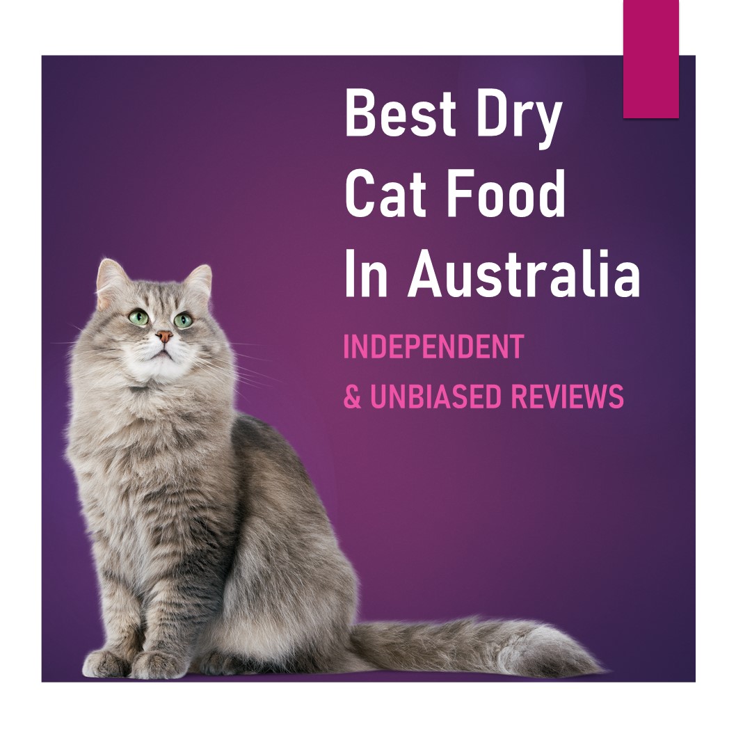 Best Dry Cat Food In Australia