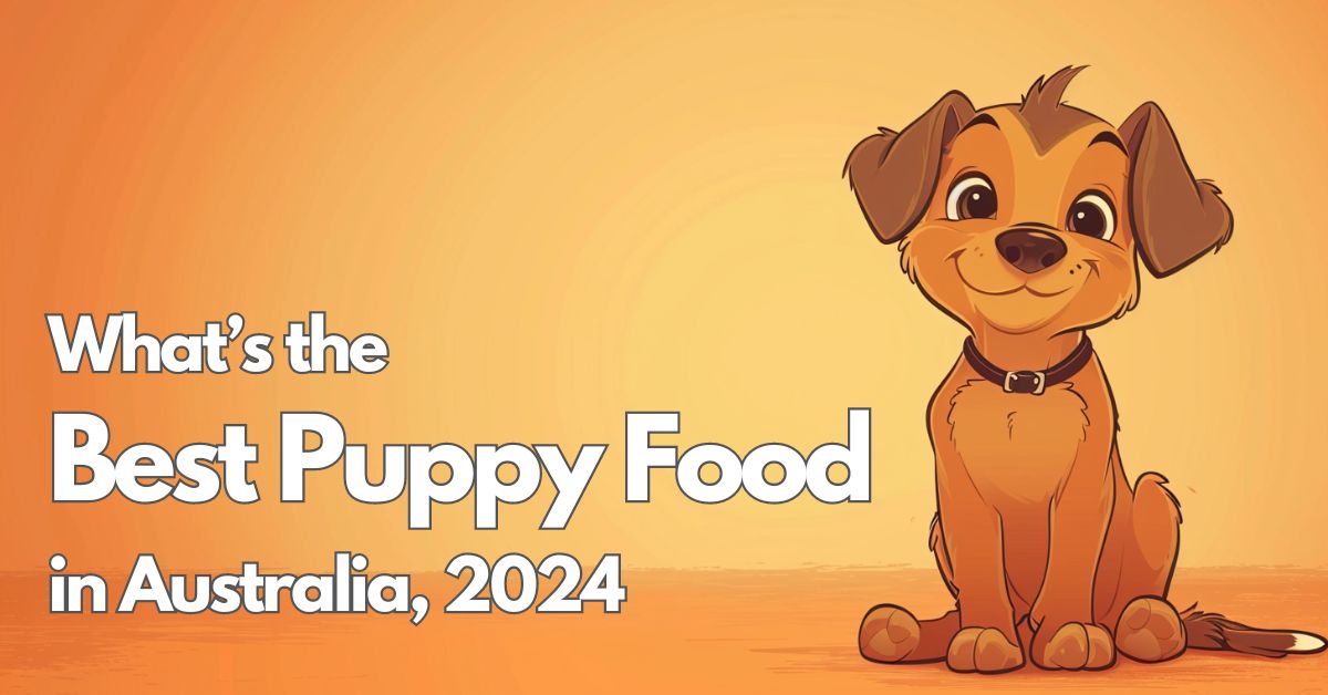 Best Puppy Food Australia 2024