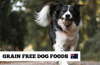 Grain Free Dog Foods