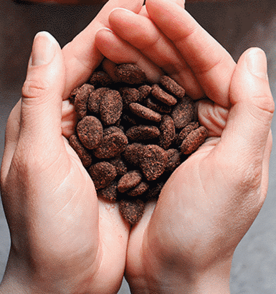 Orijen Dog Food Review