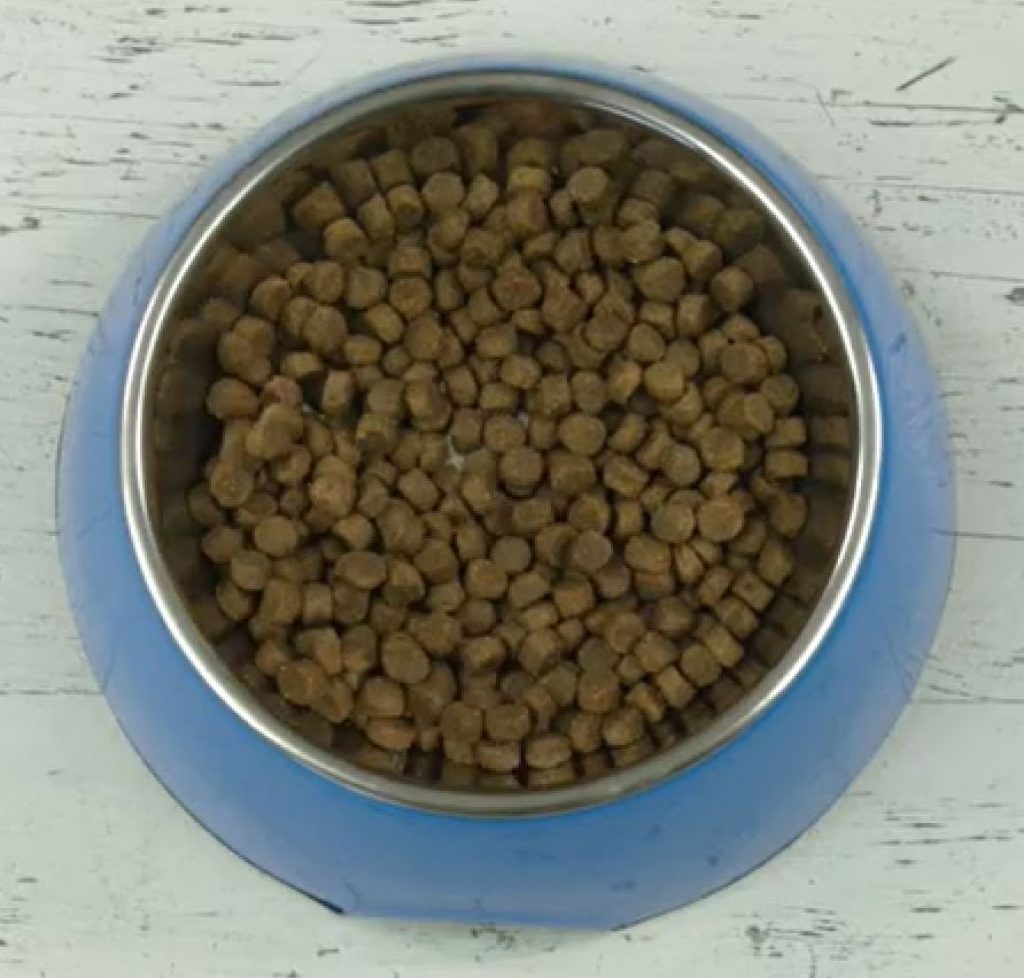 Black Hawk Dog Food Review