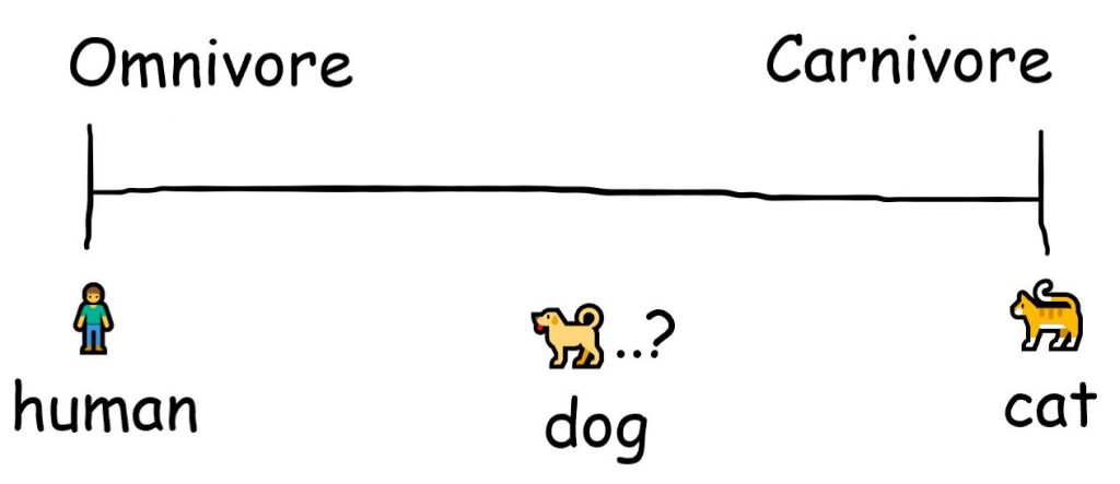 Are dogs carnivores or omnivores? 3 Are dogs carnivores or omnivores?