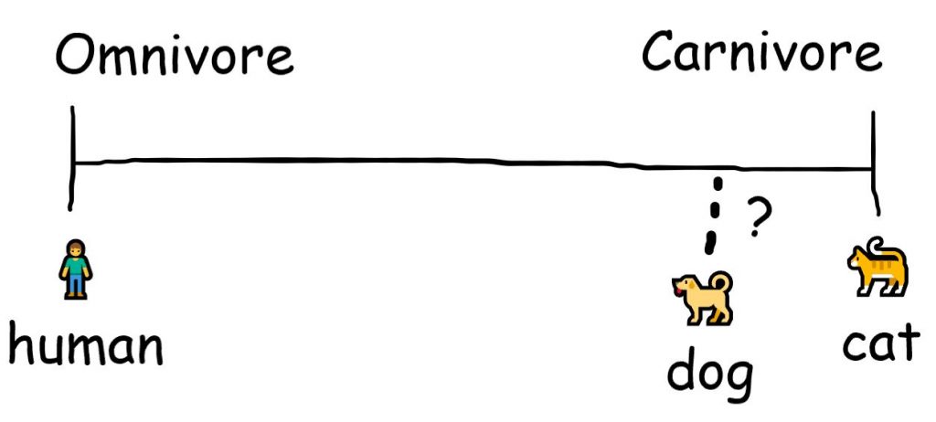 Are dogs carnivores or omnivores?