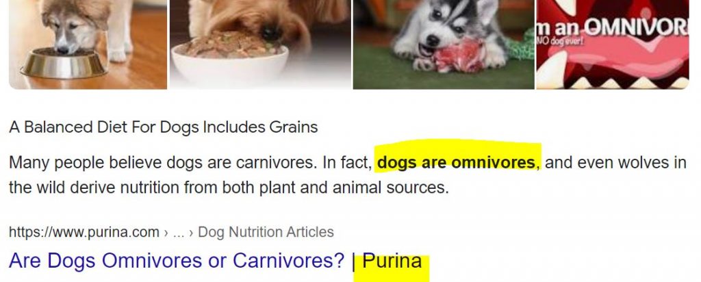 Are dogs carnivores or omnivores?