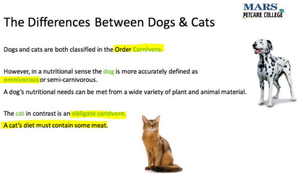 Are dogs carnivores or omnivores?