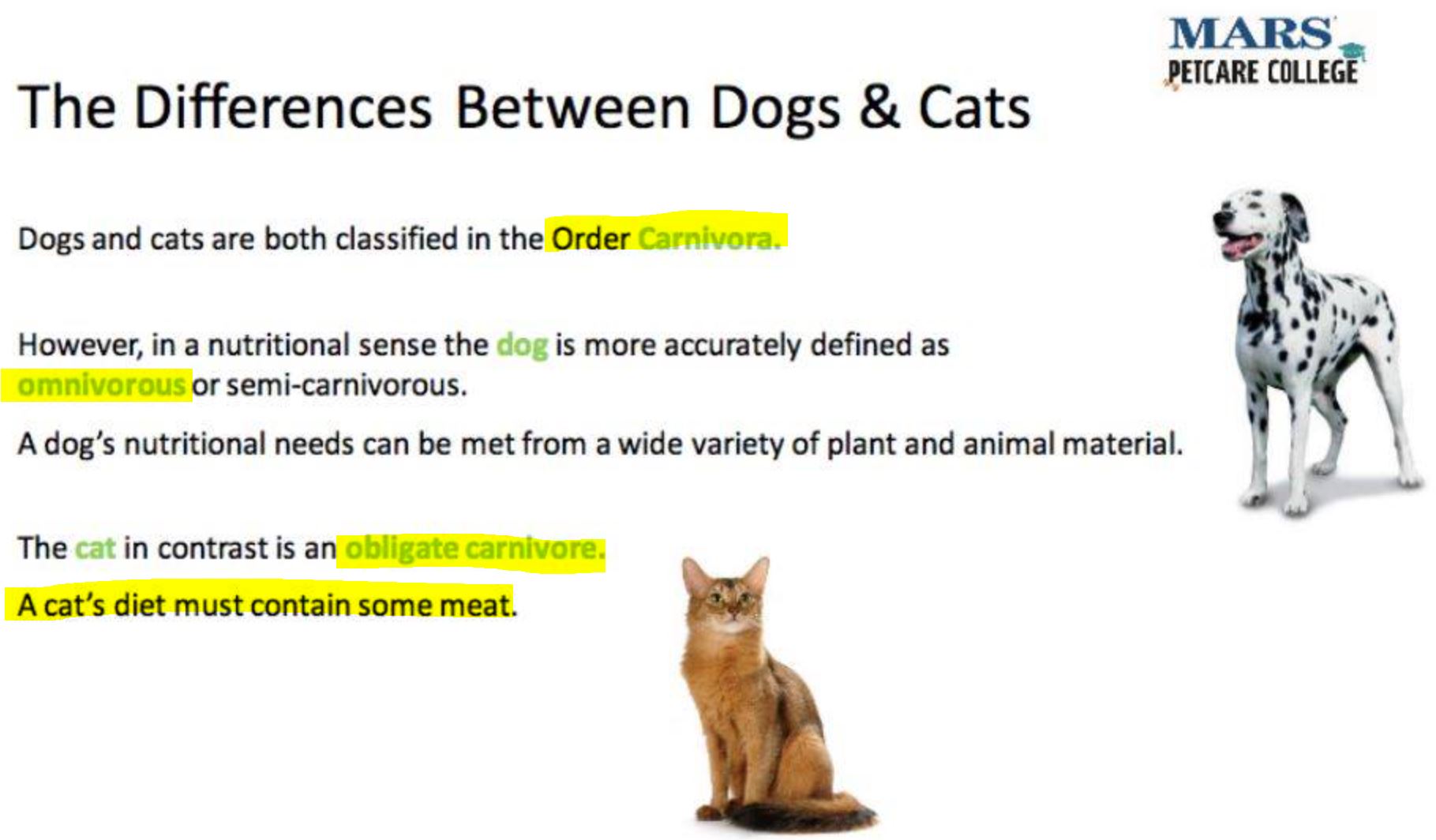 Are dogs carnivores or omnivores? (2023) | Pet Food Reviews (Australia)