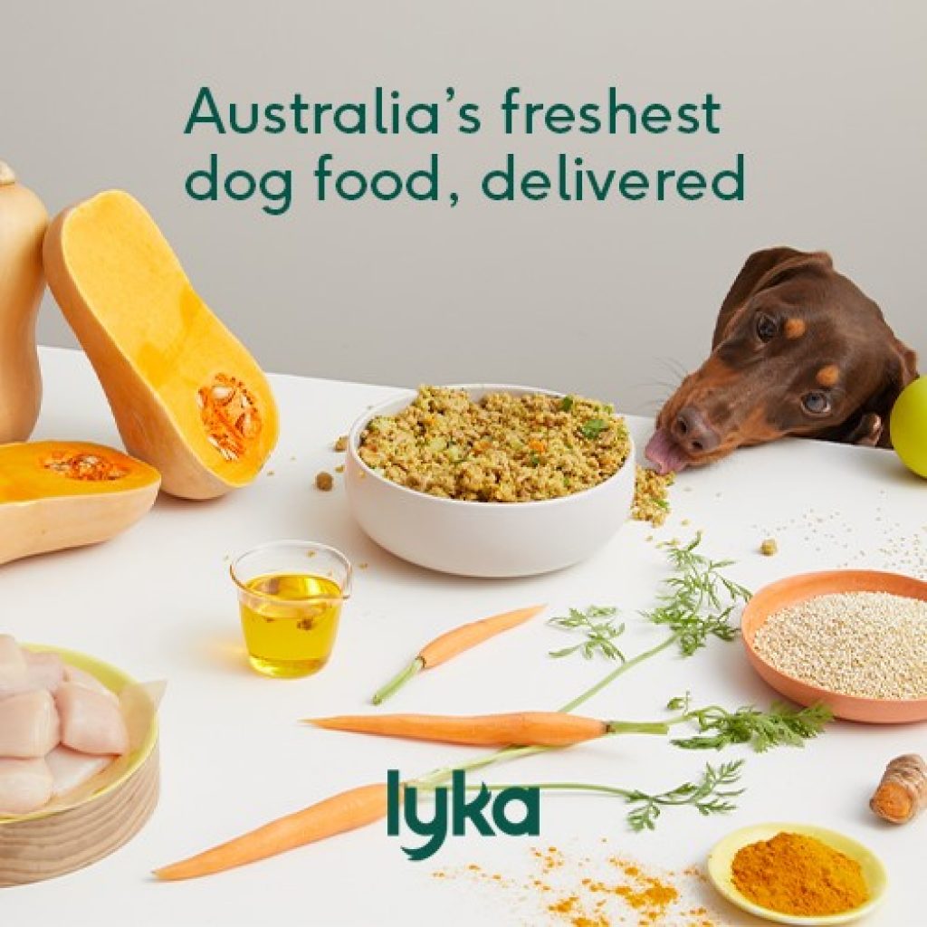 Best puppy food Australia - Lyka