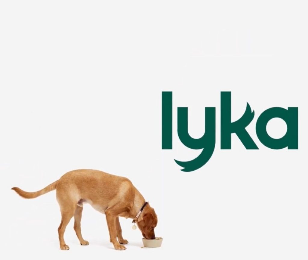 Lyka Dog Food Review