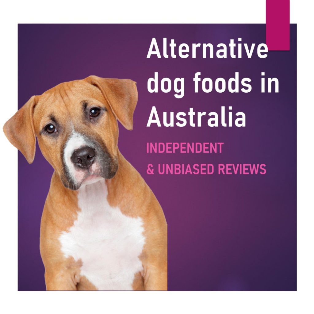 Dog food alternative