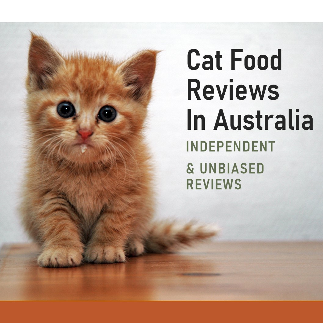 Cat Food Reviews