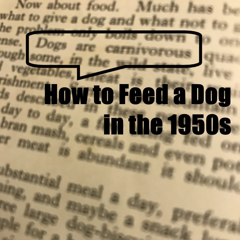 How to Feed a Dog in the 1950s