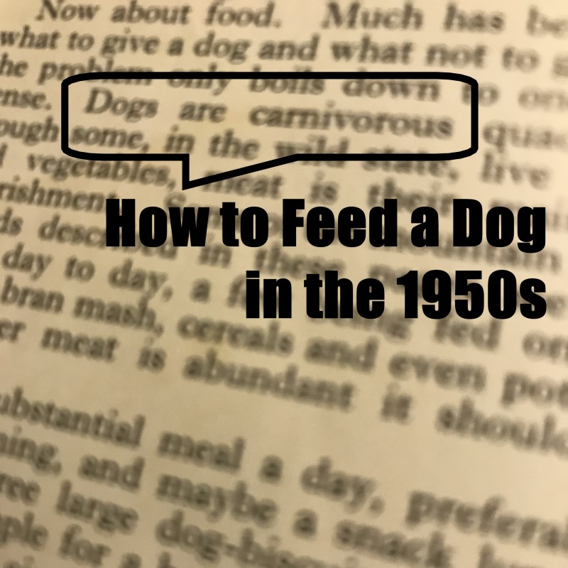 How to Feed a Dog - 1950s 1 How to Feed a Dog in the 1950s