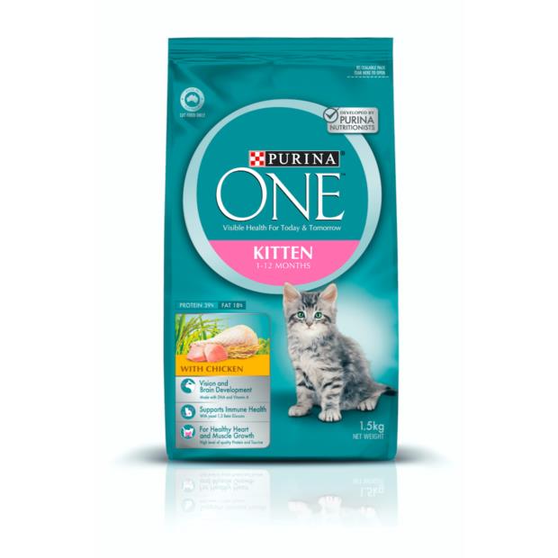 purina dry cat food kitten