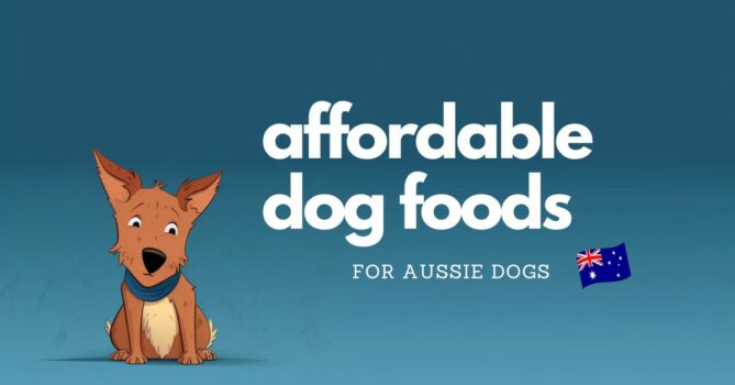 Best affordable dog foods in Australia