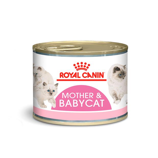Royal Canin Mother And Baby Stage 2 Wet Cat Food Trays 100g Pet Food