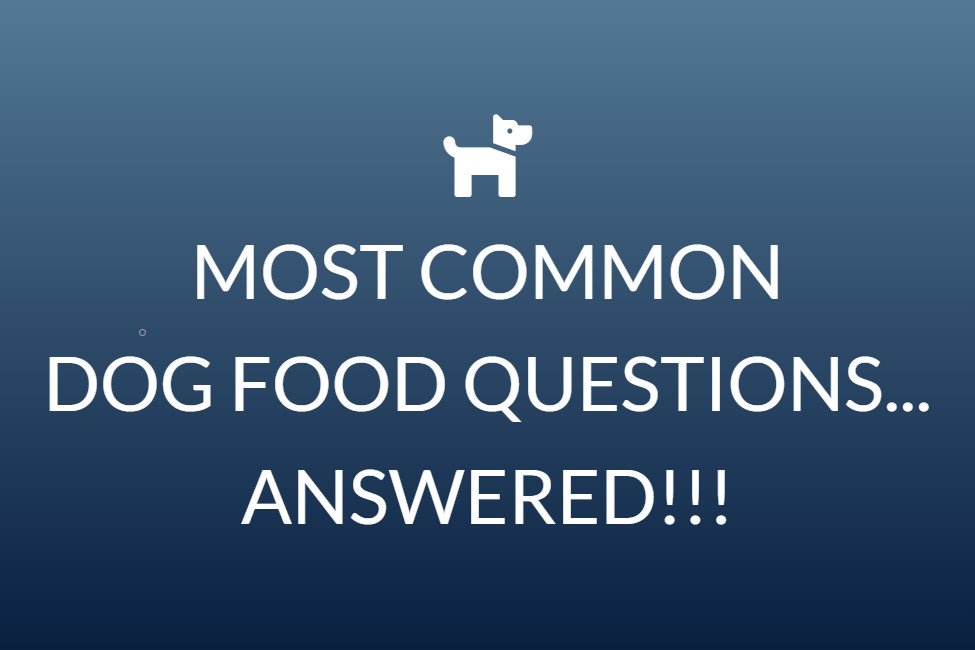 Most common dog food questions - ANSWERED! 1 Most common dog food questions