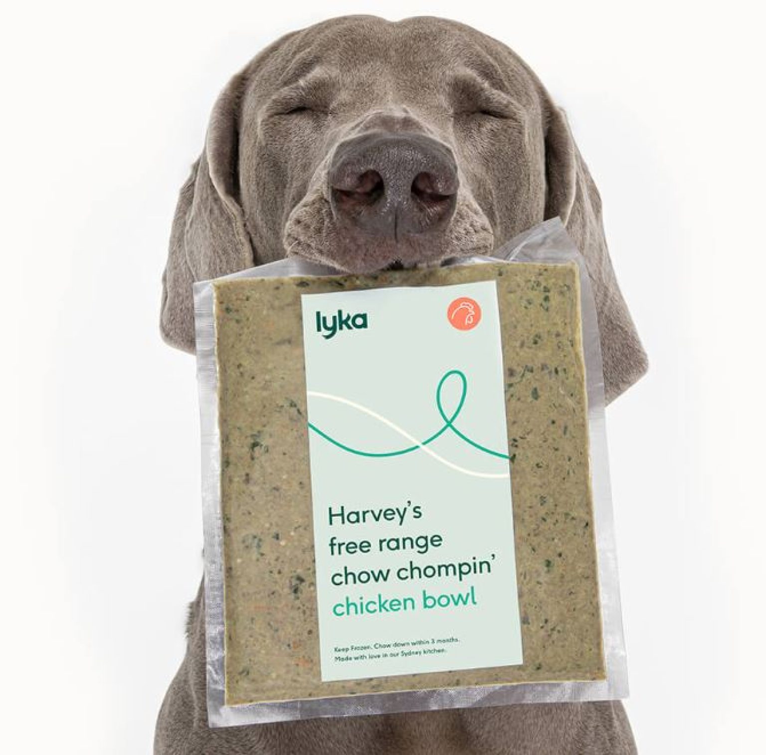 Australian dog foods (and my best