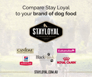 Stay Loyal (dog food)