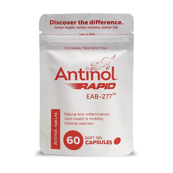 Antinol Rapid for Dogs Australia