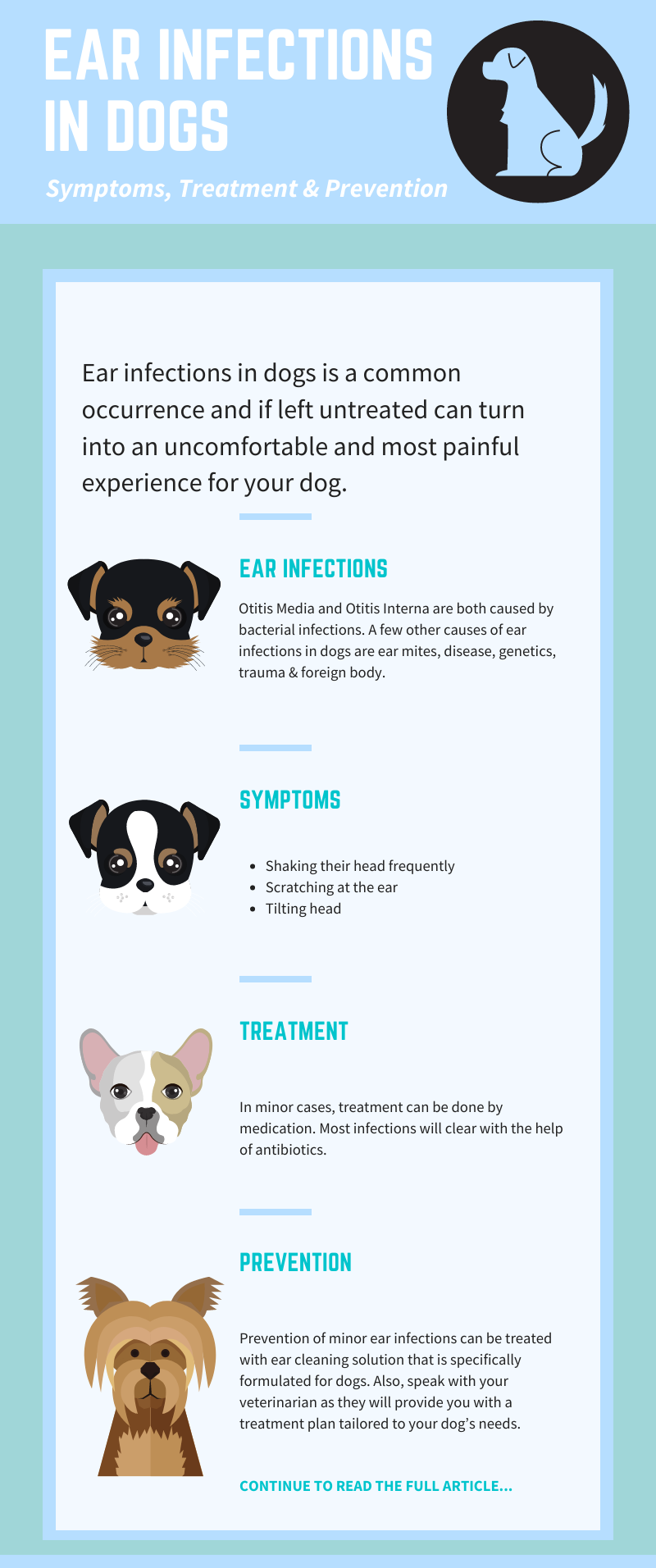 Ear Infections in Dogs Infographic
