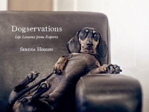 Dachshund Breed Information