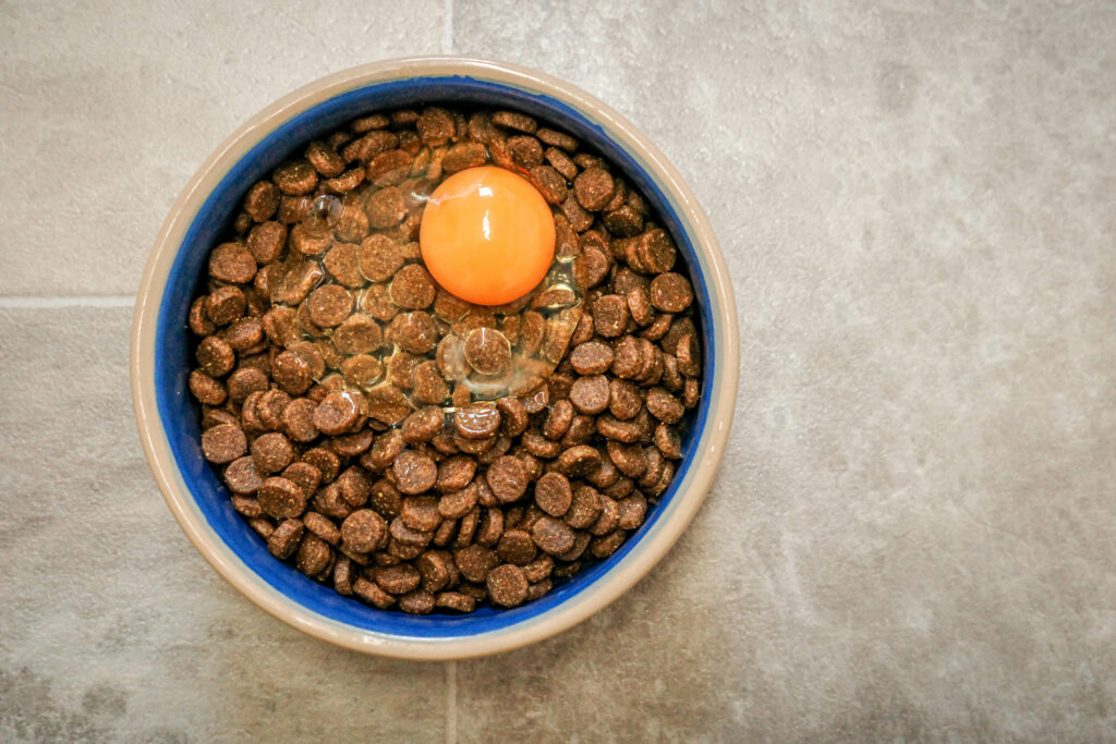 Dog food toppers 3 Egg as a dog food topper