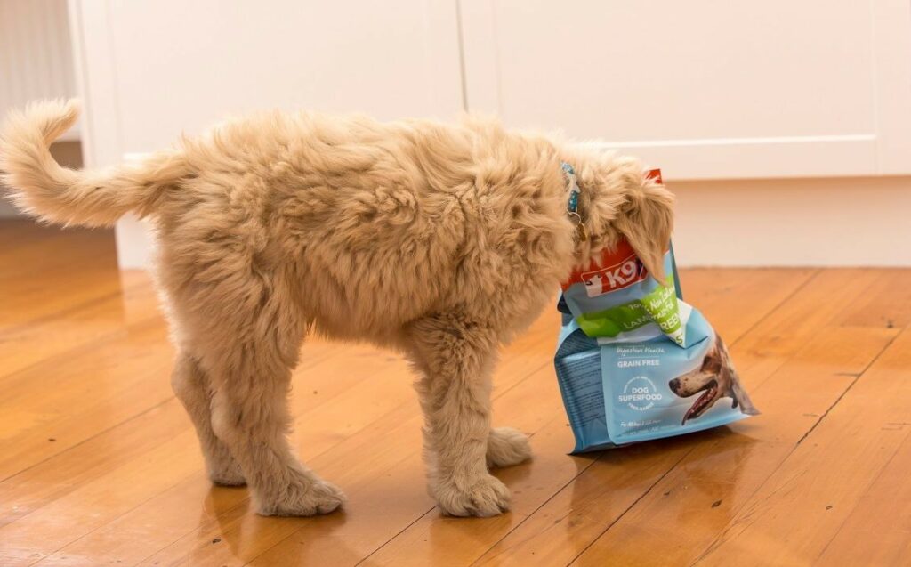 Dog food toppers 2 K9 Natural green tripe dog food topper