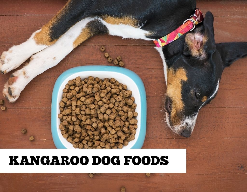 is kangaroo good for dogs