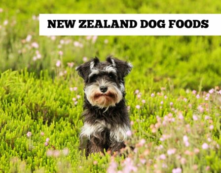 New Zealand Dog Food - in Australia