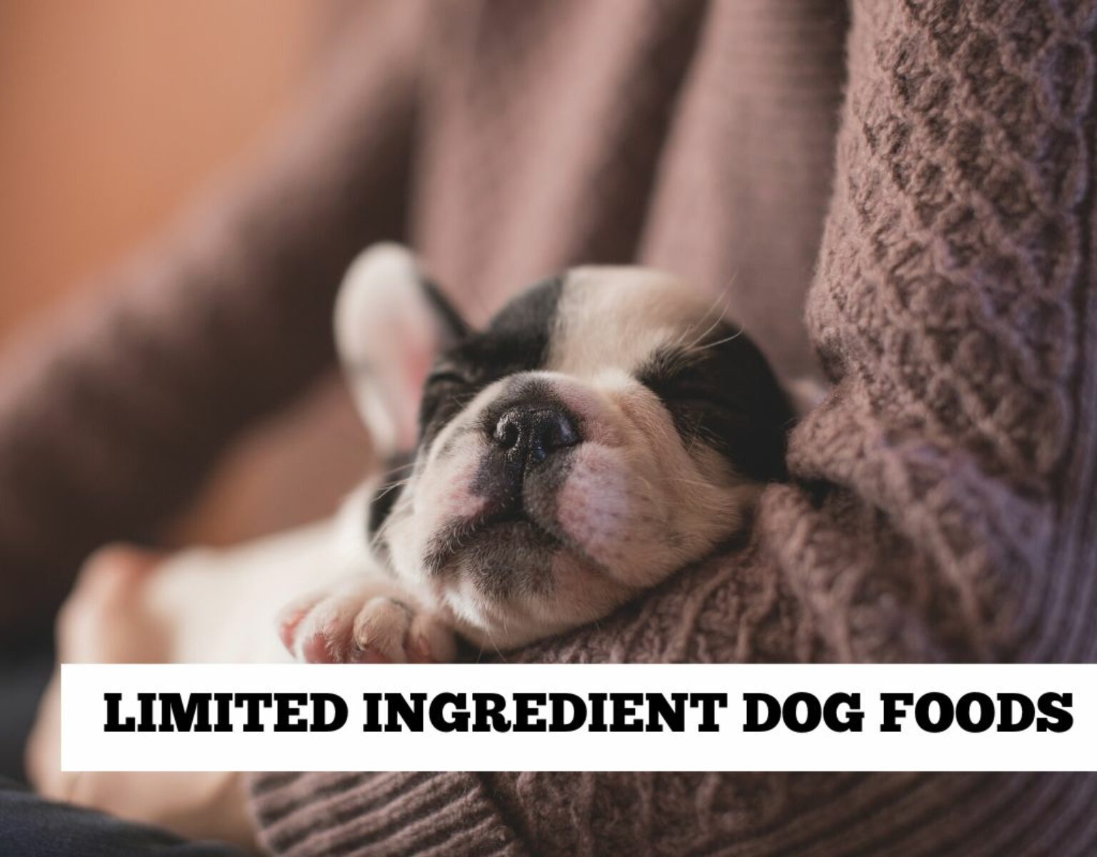 Limited ingredient dog foods