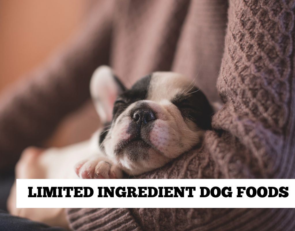 limited ingredient dog food