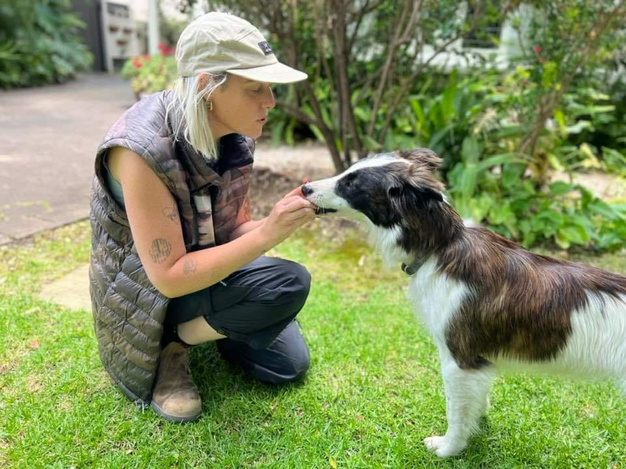 Rescuing a Dog A Complete Guide