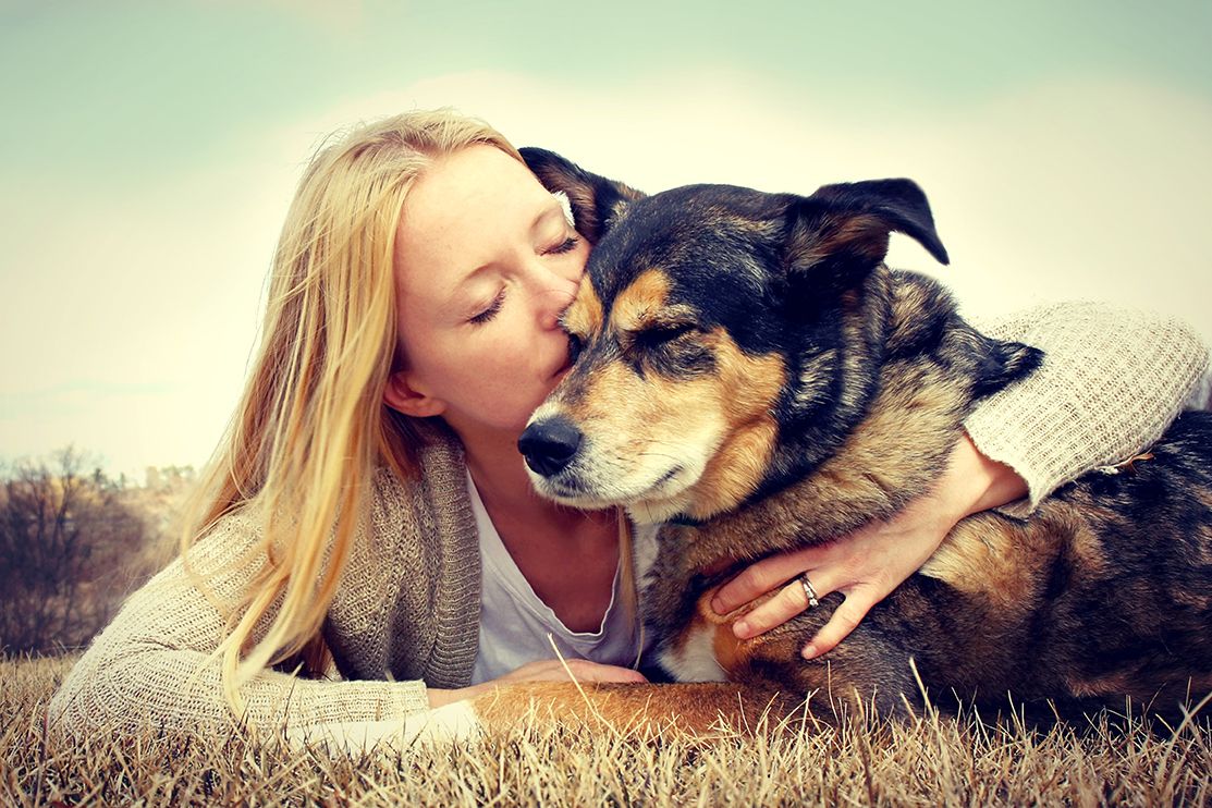 Rescuing a Dog - A Complete Guide 1 Rescuing a dog