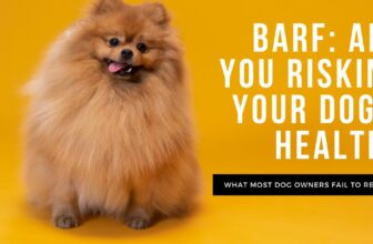 BARF Diets - A Risk to Health