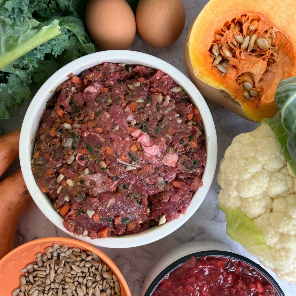 Raw & Fresh Dog Food Review 2 Raw and Fresh dog food sample