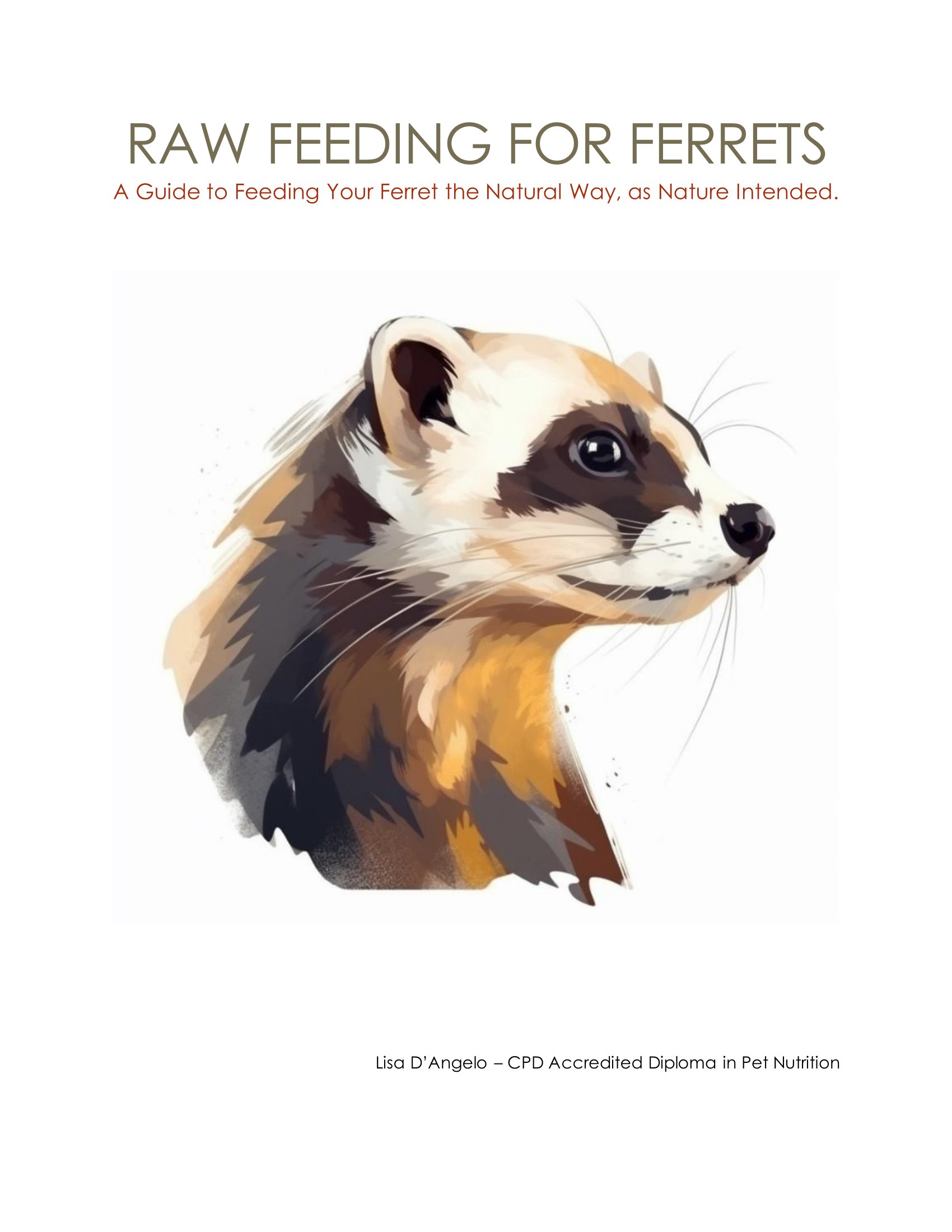 A Guide to Raw Feeding Ferrets