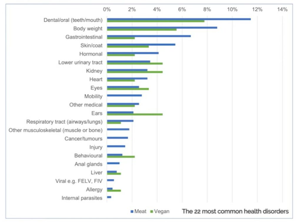 Health disorders in cats fed a vegan diet versus meat-based diet