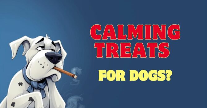 Calming treats for dogs in Australia