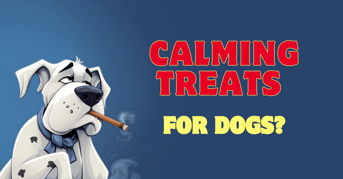 Calming treats for dogs in Australia