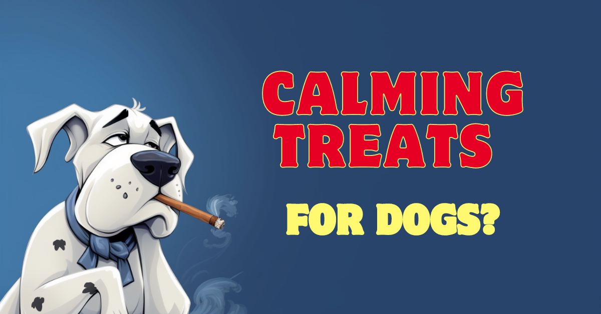 Calming Treats for Dogs - Read this first! 1 Calming treats for dogs in Australia