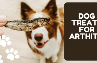 Dog arthritis treats