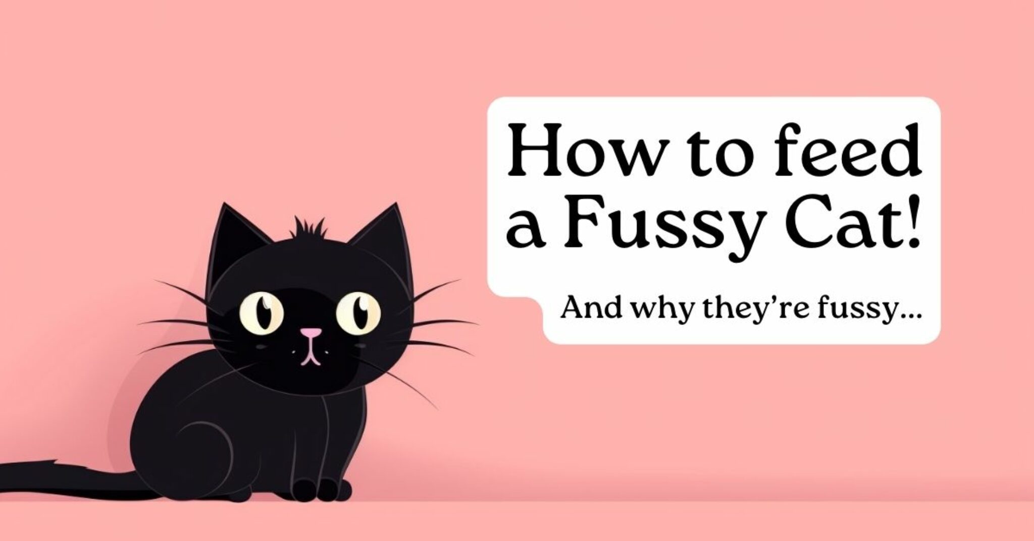 How to Feed Fussy Cats!